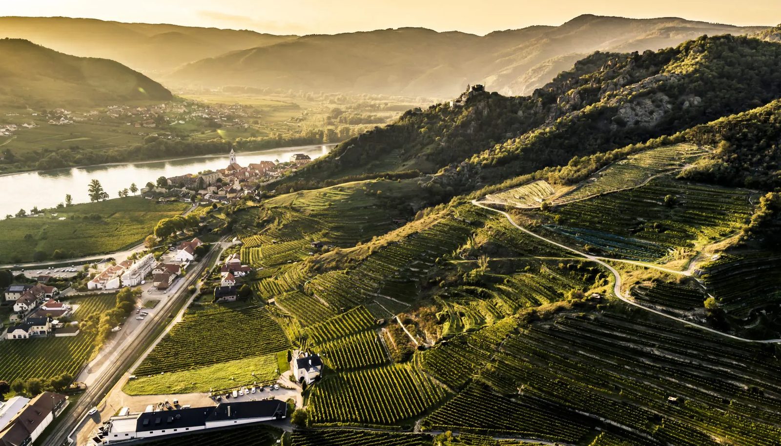 Stone vineyard terraces above the Danube in Austria, home of Grüner Veltliner, the perfect wine for Libra