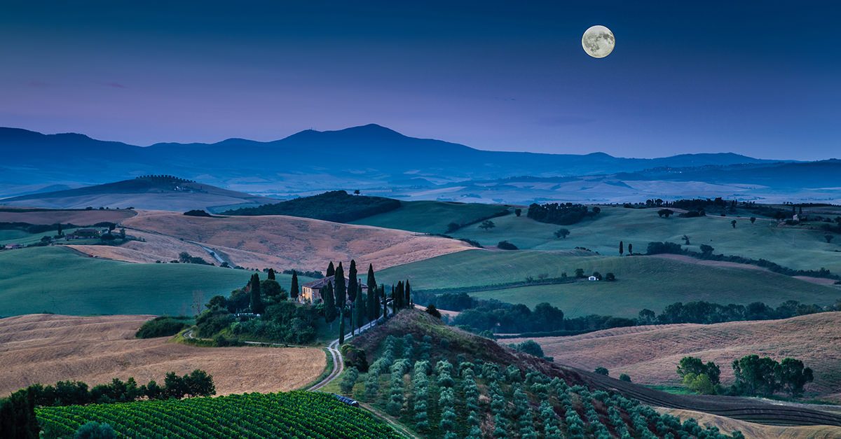 A biodynamic vineyard farmed by the lunar calendar, the perfect wine for Virgo